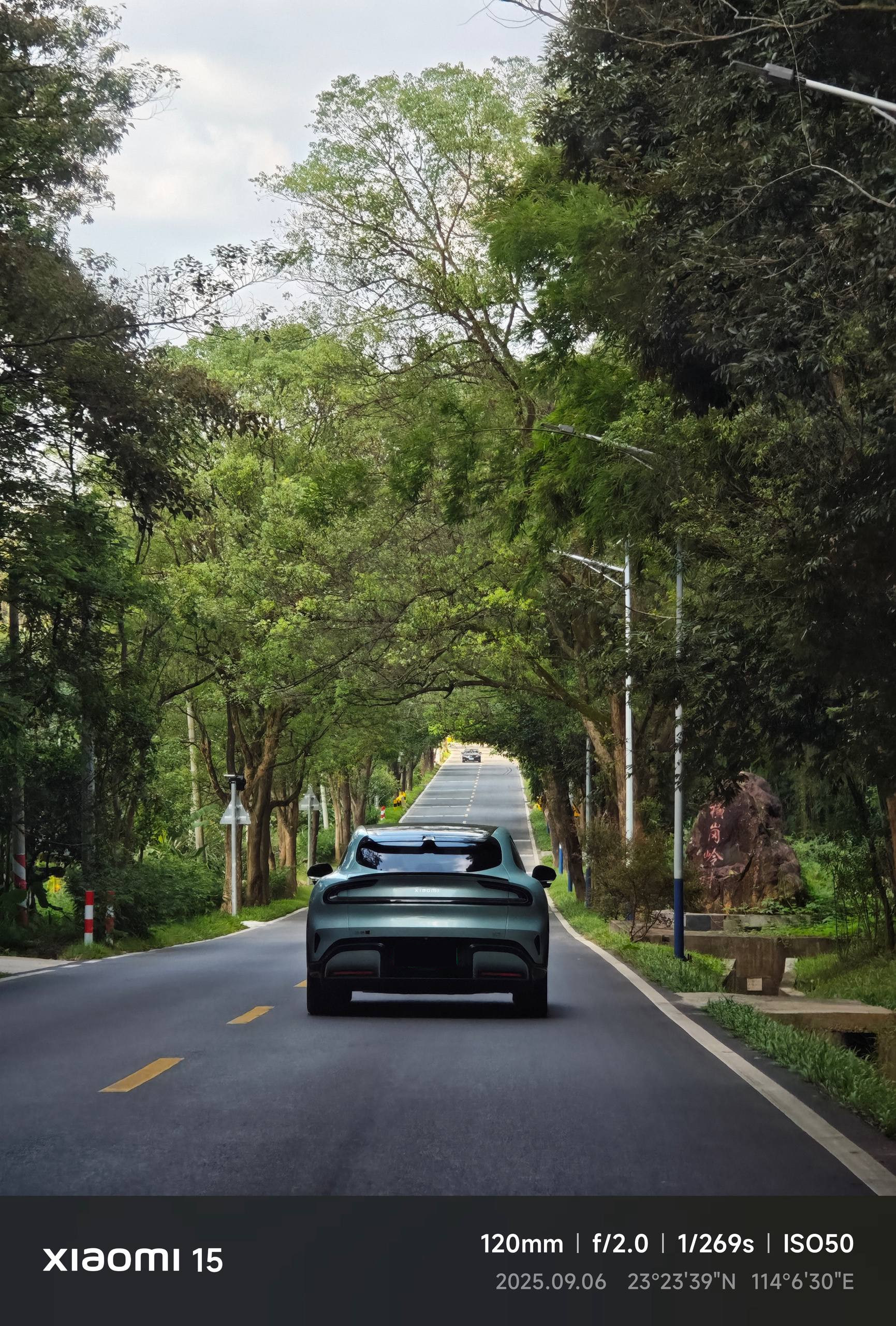 image-20251205132645178